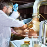 Cerveja e Nutrição juntos?